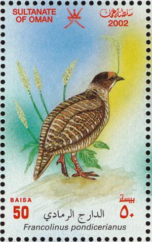 Colnect-1464-140-Grey-Francolin-Francolinus-pondicerianus.jpg