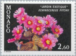 Colnect-148-848-Echinocereus-fitchii.jpg