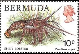 Colnect-1491-903-Caribbean-Spiny-Lobster-Panulirus-argus.jpg