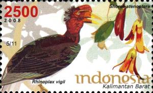 Colnect-1587-043-Helmeted-Hornbill-Rhinoplax-vigil-Light-Red-Meranti-Shor.jpg