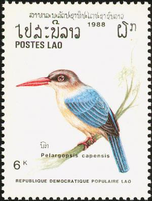 Colnect-1613-077-Stork-billed-Kingfisher-Pelargopsis-capensis.jpg