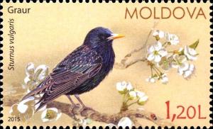 Colnect-2911-594-Starling-Sturnus-vulgaris.jpg