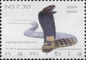 Colnect-3065-082-Zebra-Spitting-Cobra-Naja-nigricincta.jpg