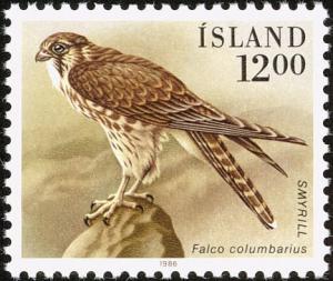 Colnect-3708-188-Merlin-Falco-columbarius.jpg