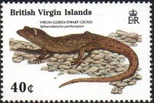 Colnect-3966-298-Virgin-Gorda-Dwarf-Gecko.jpg