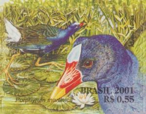 Colnect-4043-703-Purple-Gallinule-Porphyrula-martinica.jpg