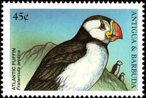 Colnect-4105-358-Atlantic-Puffin%C2%A0%C2%A0%C2%A0%C2%A0Fratercula-arctica.jpg