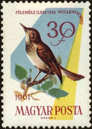 Colnect-4405-029-Common-Nightingale-Luscinia-megarhynchos.jpg