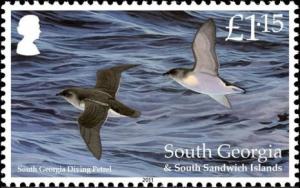 Colnect-4571-647-South-Georgia-Diving-Petrel-Pelecanoides-georgicus.jpg