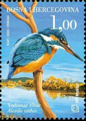 Colnect-536-312-Common-Kingfisher-Alcedo-atthis.jpg