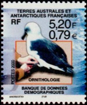 Colnect-887-019-Ringing-a-Seagull.jpg