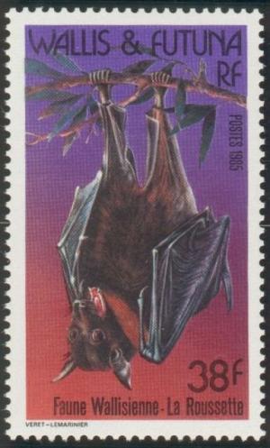 Colnect-897-447-Pacific-Flying-Fox-Pteropus-tonganus.jpg