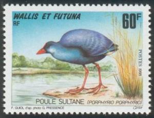 Colnect-898-736-Purple-Gallinule-Porphyrio-porphyrio.jpg