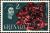 Colnect-4466-144-Bougainvillea-overprinted.jpg