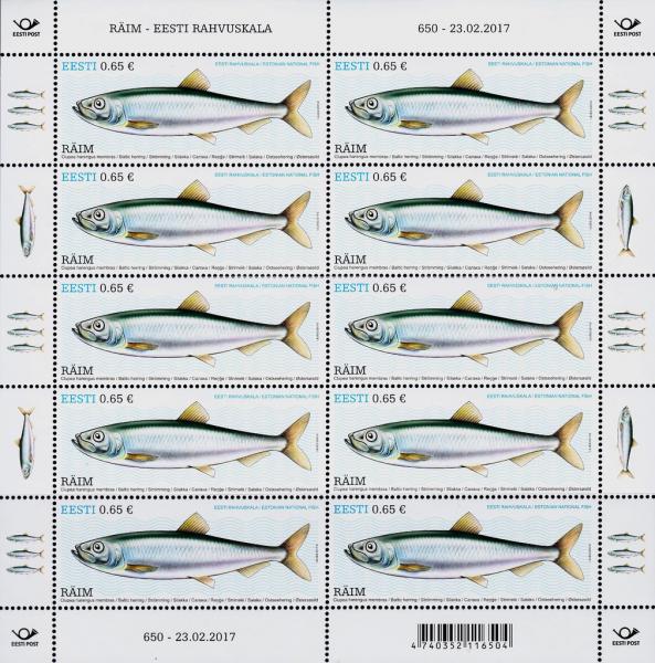 Colnect-3959-698-Baltic-Herring-Clupea-harengus-membras.jpg