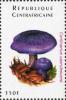 Colnect-3012-790-Cortinarius-caerulescens.jpg