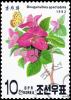 Colnect-3527-571-Bougainvillea-spectabilis.jpg