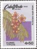 Colnect-1124-921-Royal-Poinciana-Poinciana-regia.jpg