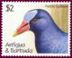 Colnect-1462-670-Purple-Gallinule-Porphyrula-martinica.jpg