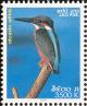 Colnect-1614-718-Common-Kingfisher-Alcedo-atthis.jpg