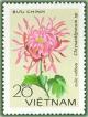 Colnect-1627-152-Pink-chrysanthemum.jpg