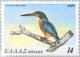 Colnect-174-345-Common-Kingfisher-Alcedo-athis.jpg