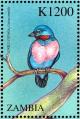 Colnect-3507-670-Lovely-Cotinga%C2%A0-%C2%A0Cotinga-amabilis.jpg