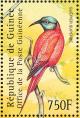 Colnect-3804-332-Northern-Carmine-Bee-eater-Merops-nubicus.jpg