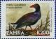 Colnect-488-963-Purple-Gallinule-Porphyrula-martinica.jpg