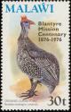 Colnect-864-262-Helmeted-Guineafowl-Numida-meleagris.jpg