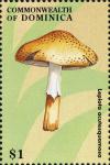 Colnect-3037-968-Lepiota-acutesquamosa.jpg