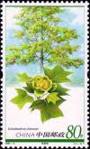 Colnect-5449-251-Liriodendron-chinense.jpg