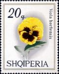 Colnect-1409-228-Pansy-Viola-tricolor-hortensis.jpg