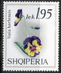 Colnect-2765-255-Pansy-Viola-tricolor-hortensis.jpg