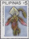 Colnect-2905-379-Paphiopedilum-urbanianum.jpg