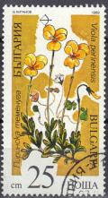 Colnect-598-372-Viola-perinensis.jpg