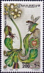 Colnect-4311-981-Dionaea-muscipula.jpg