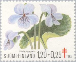 Colnect-159-844-Marsh-Violet-Viola-palustris.jpg