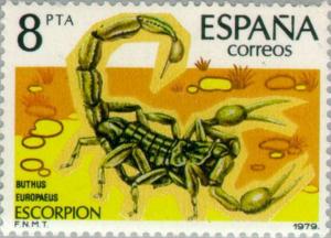 Colnect-174-572-Scorpion-Buthus-europaeus.jpg