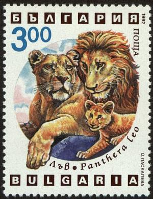 Colnect-4413-048-Lion-Panthera-leo.jpg