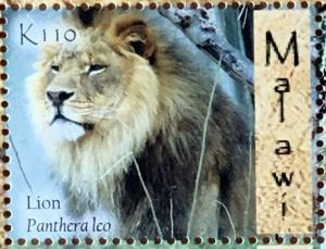 Colnect-4579-572-Lion-Panthera-leo.jpg