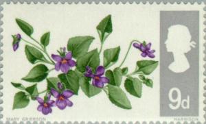 Colnect-4964-075-Dog-Violet-Viola-Riviniana.jpg