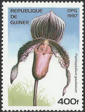 Colnect-5578-486-Paphiopedilum-gaudianum.jpg