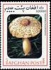 Colnect-3511-133-Reddening-lepiota-Leucocoprinus-bresadolae.jpg