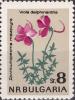 Colnect-3169-098-Larkspur-Violet-Viola-delphinioides.jpg