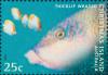 Colnect-2726-709-Blackeye-Thicklip-Wrasse-Hemigymnus-melapterus.jpg