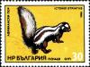 Colnect-5573-391-Zorilla-or-Striped-Polecat-Ictonyx-striatus.jpg