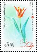 Colnect-3547-332-Tulipa-kolpakowskiana.jpg