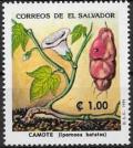 Colnect-5225-562-Ipomoea-batatas.jpg