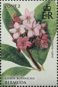 Colnect-4279-117-Frangipani-Plumeria-rubra.jpg